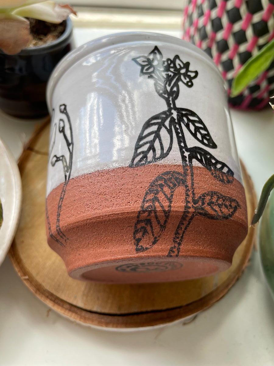 Beurrier breton avec feuillage collection Florida – poterie weilbrenner  lebeau