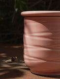 Beurrier breton rose avec texture spiralée