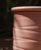 Beurrier breton rose avec texture spiralée