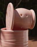 Beurrier breton rose avec texture spiralée