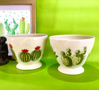 two Coffe bowls with a nice hand painted cactus and succulent design.